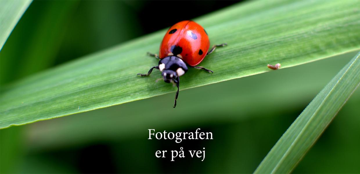 Fotografen er på vej