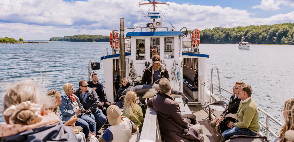 Prøv en af de mange turbåde der sejler på Lillebælt - måske i ser en hval