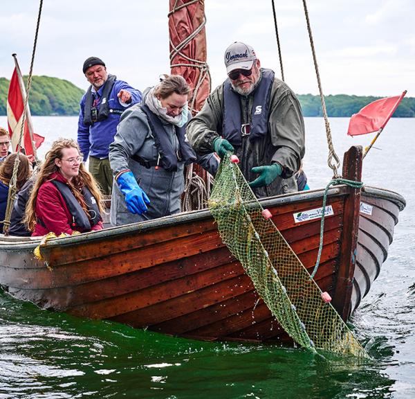 Krabbejagt i Fænøsund