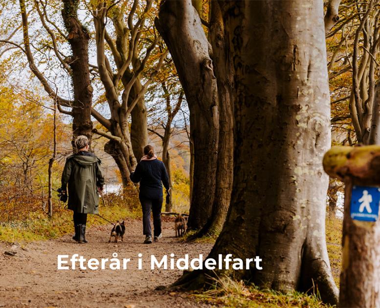 Smukt er det - Lillebæltstien om efteråret