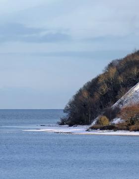 Smuk solskin over sneklædt Røjle Klint i Middelfart