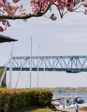 Forår ved Kongebro Havn i Middelfart